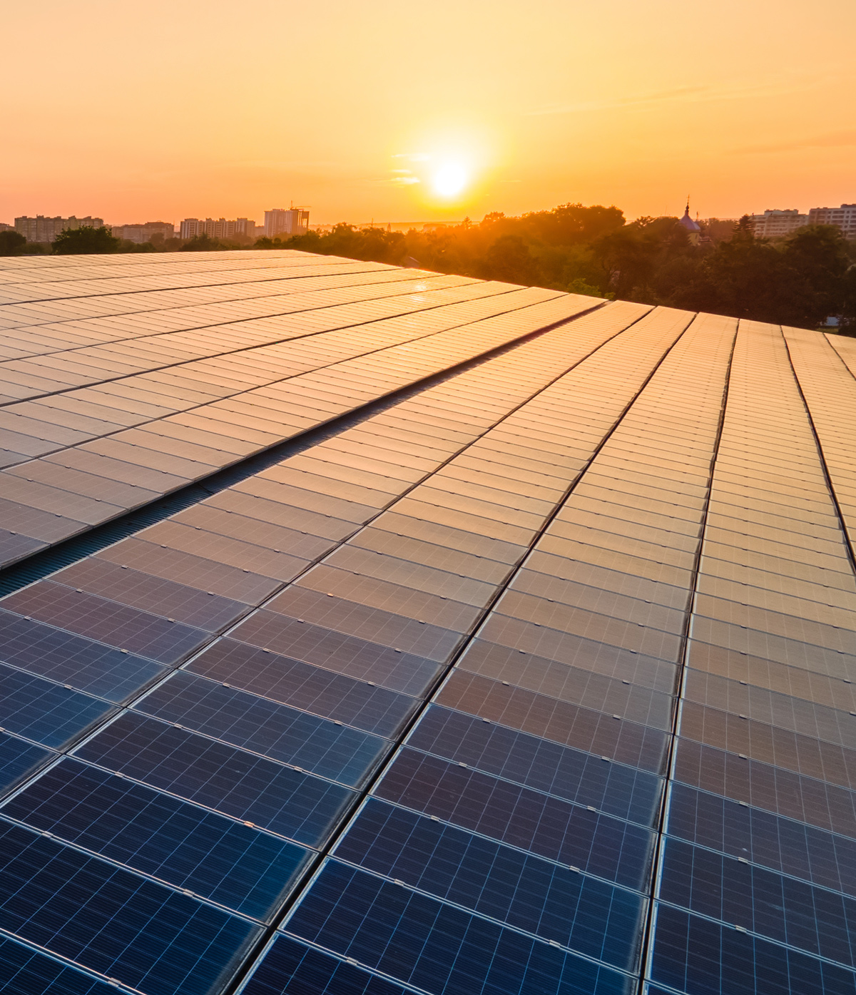 A solar park in the UK at sunrise